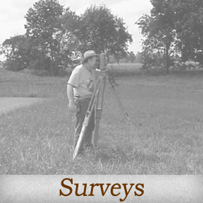 Surveys